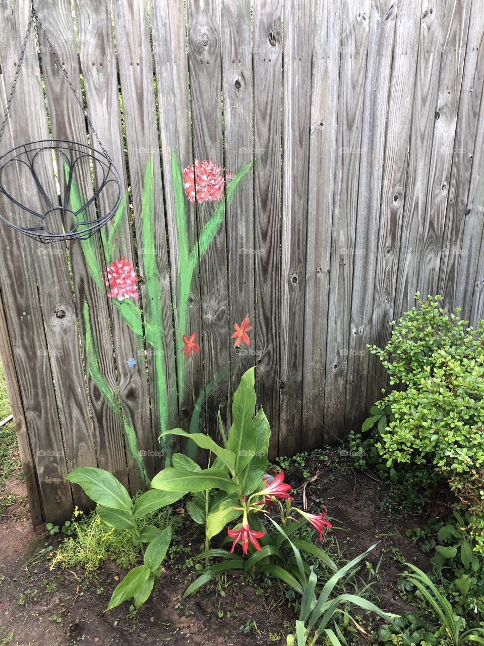 Painted flowers on a wooden privacy fence and also real  ted lilies at the base with greenery. 