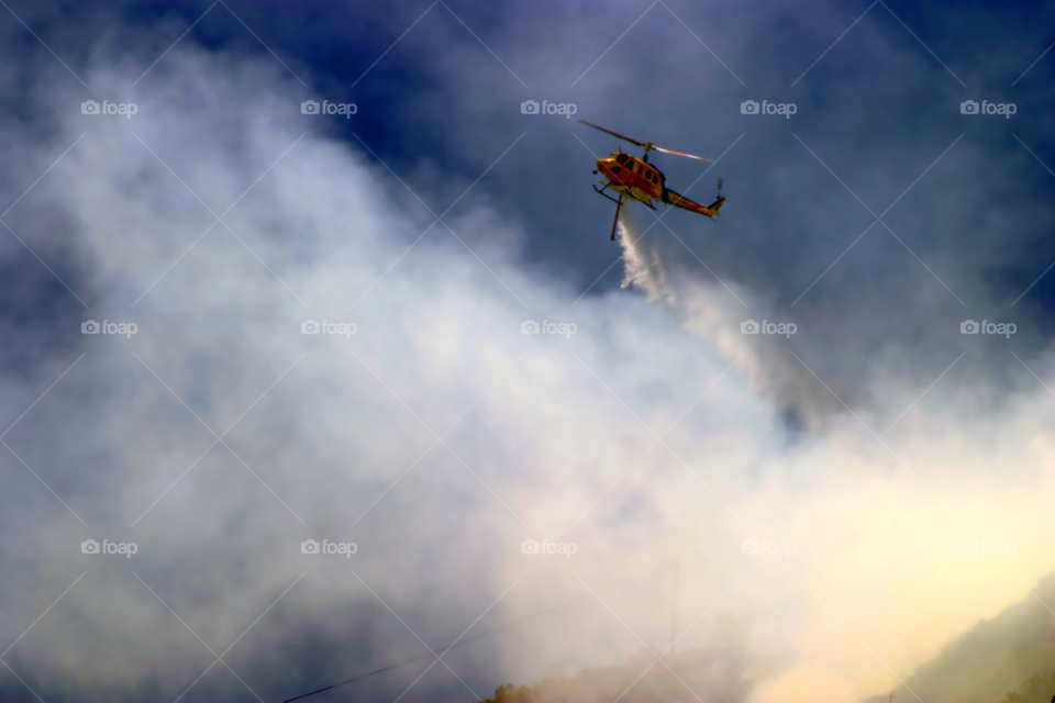 nature blue black grass by hlehnerer