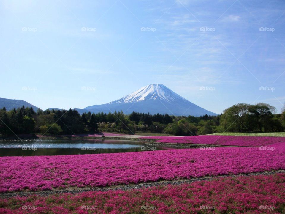 In love with this mountain in each season 