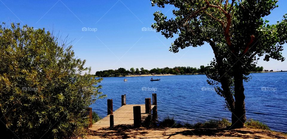 doc and lake summer is here