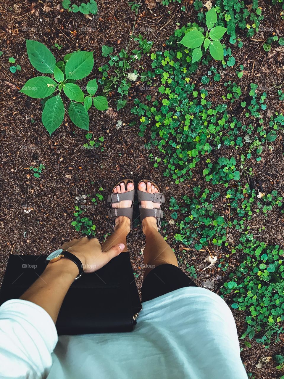 Top view on women legs and green plants 