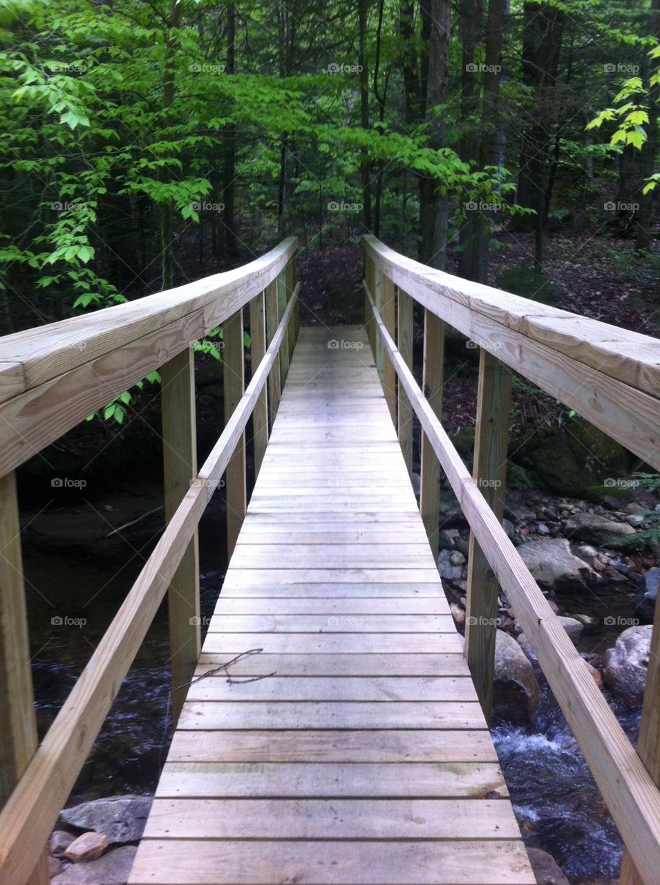 Wood Bridge