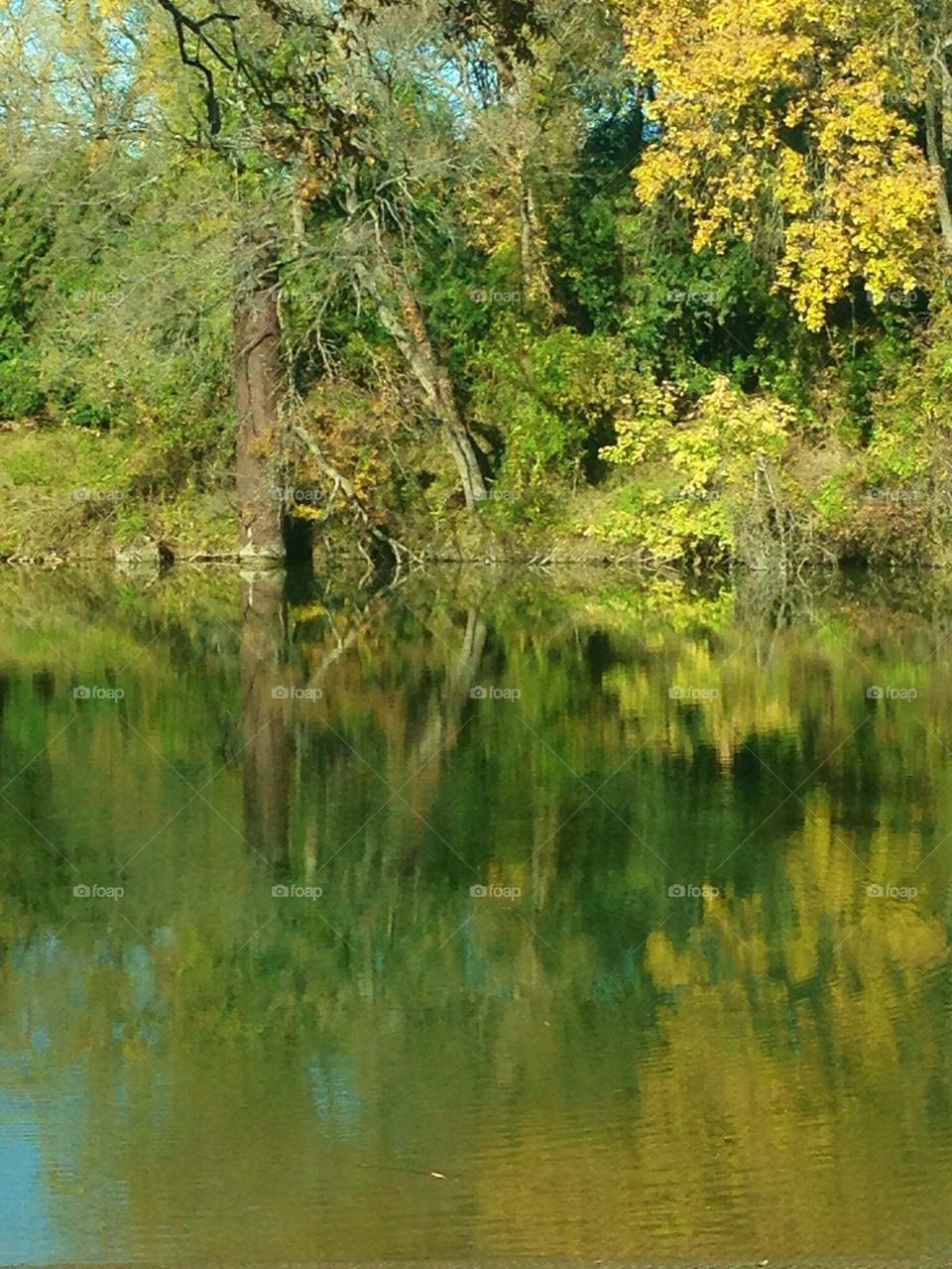 Reflection On The River