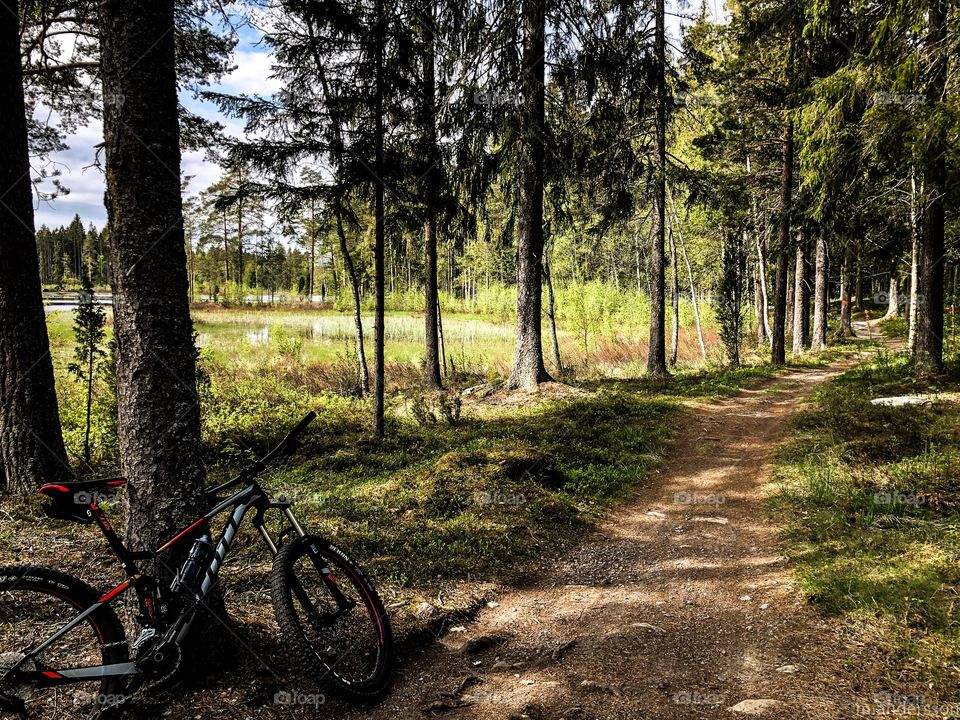 Högbo mtb tracks