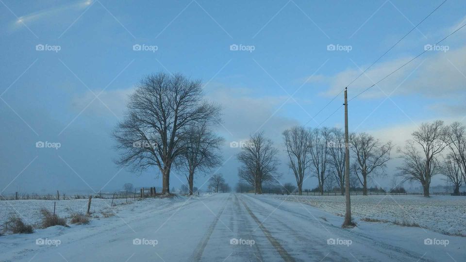 Straight road and bare trees in winter
