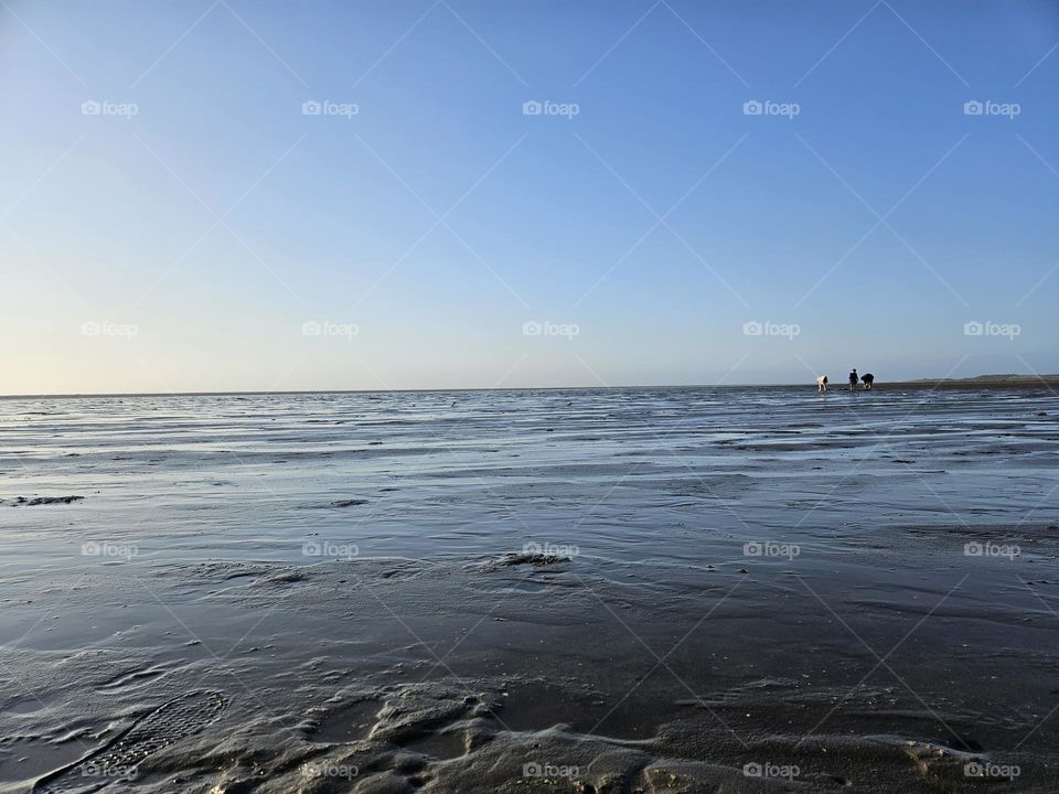 a view of beautiful beach