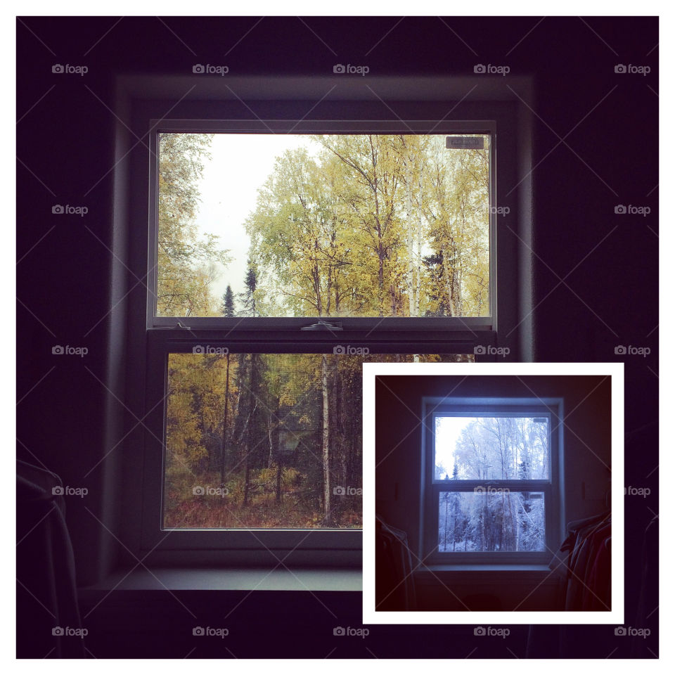 Fall to winter . Two day apart 