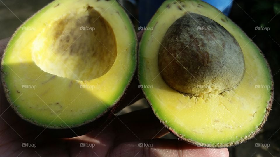 avocado