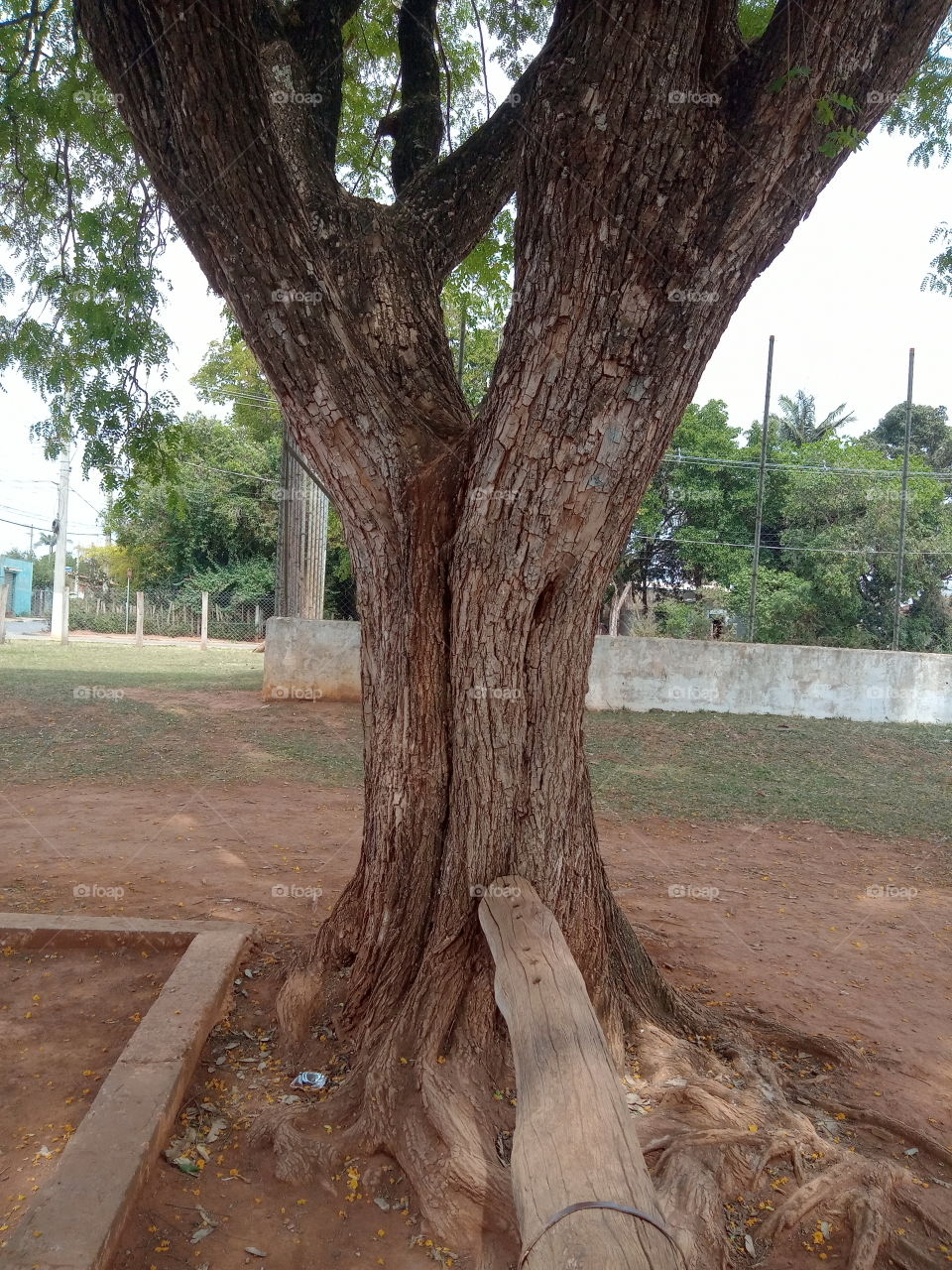 A Natureza e seus encantos