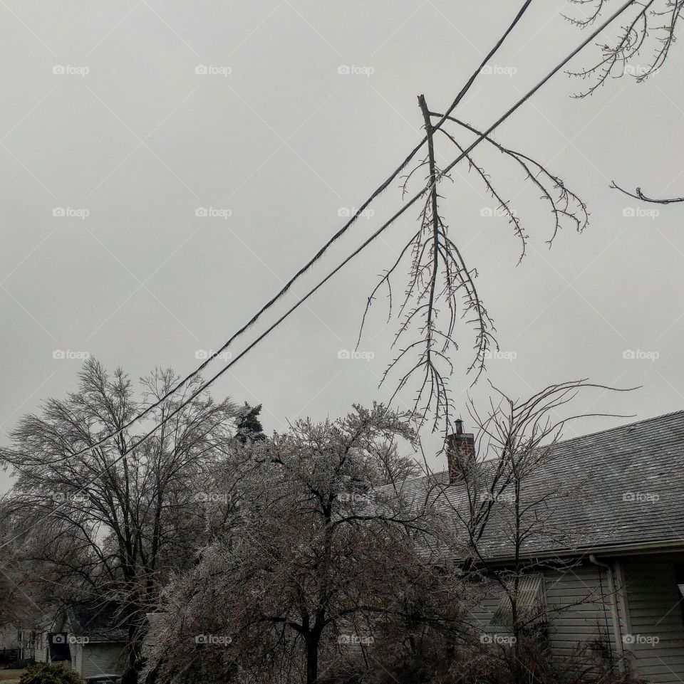 Jan 2015: A winter storm brought 3/4 inch of Ice from freezing rain in Farmington Missouri.