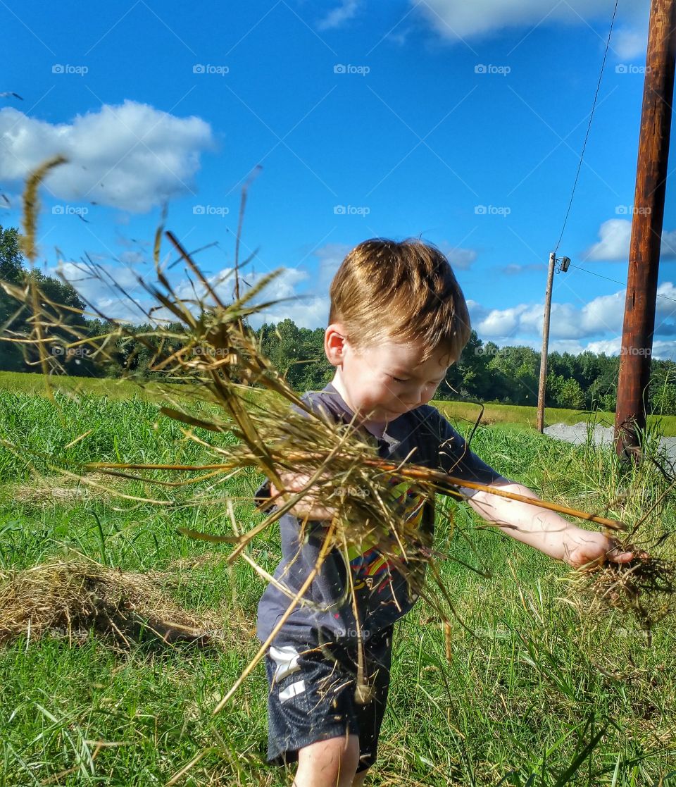 Boy holding grass in field