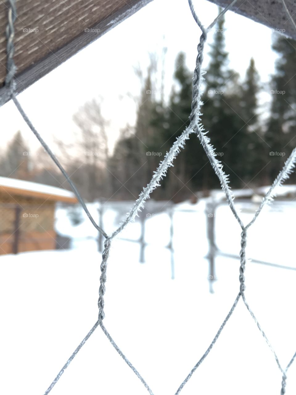 frosted fence wire