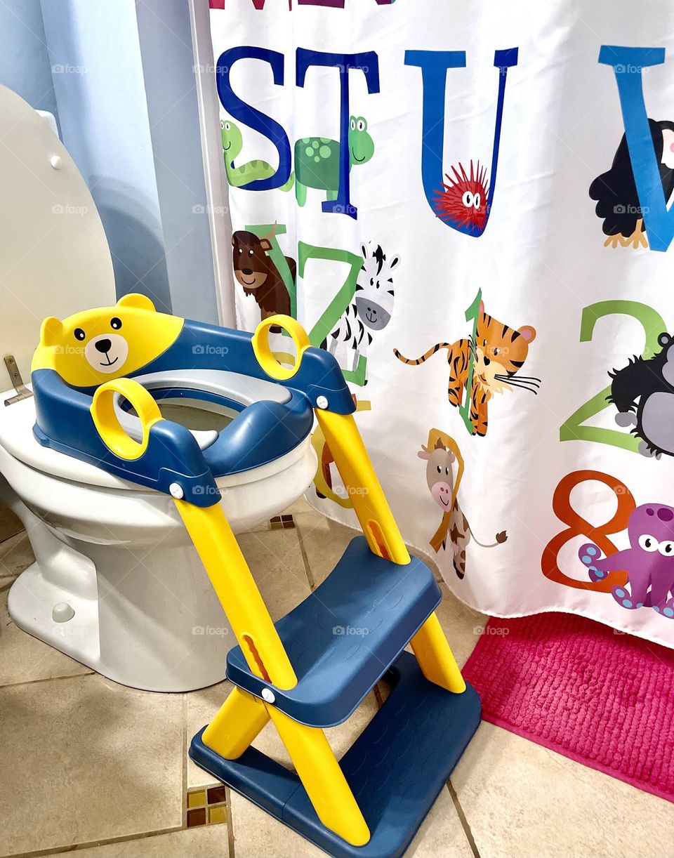 Installing a potty seat in the bathroom, potty seats for toddlers, bathrooms designed for toddlers 