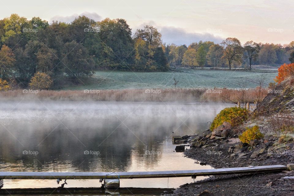 Morning fog