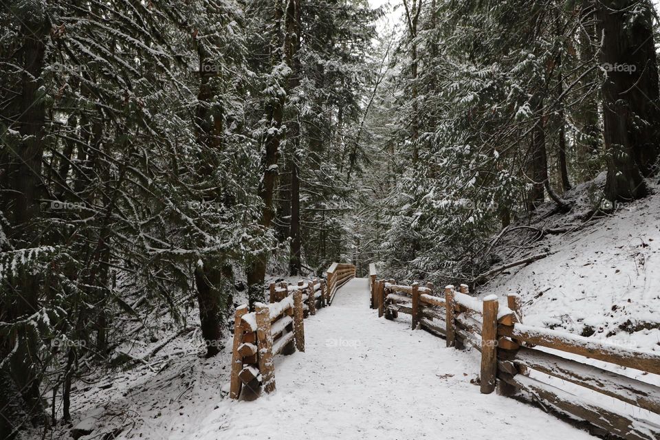 Walk on the snow 