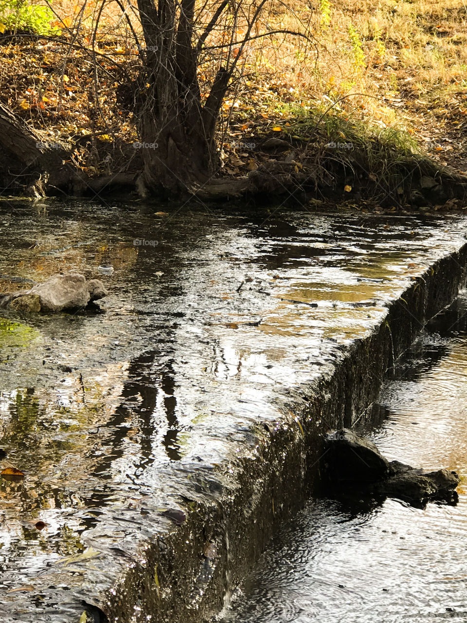Autumn reflection on stream
