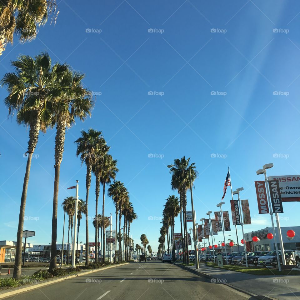 Sunny San Diego, California. 