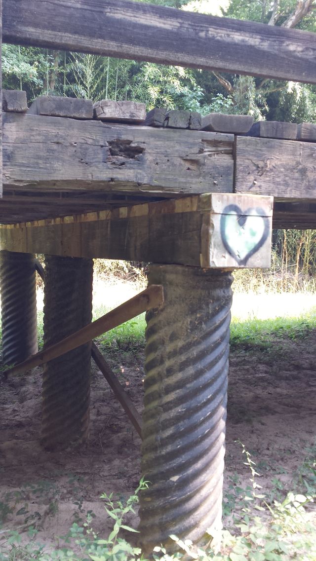 Love in the country