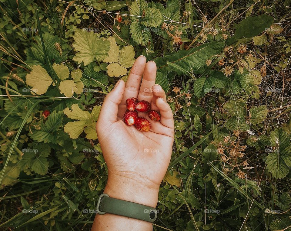 Ukrainian nature