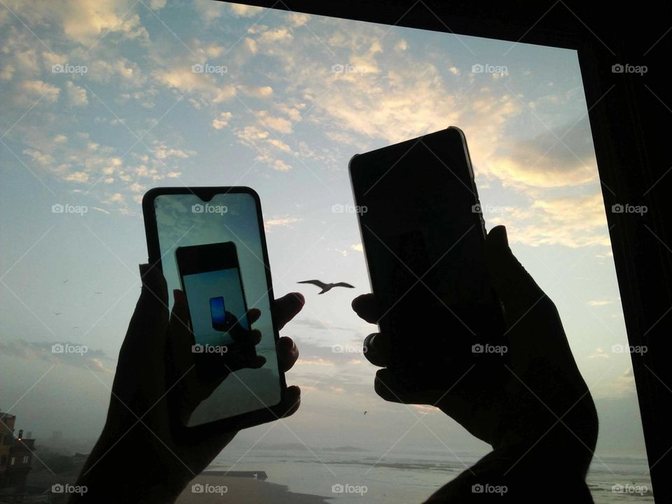 Two smartphones are capting flying seagull.