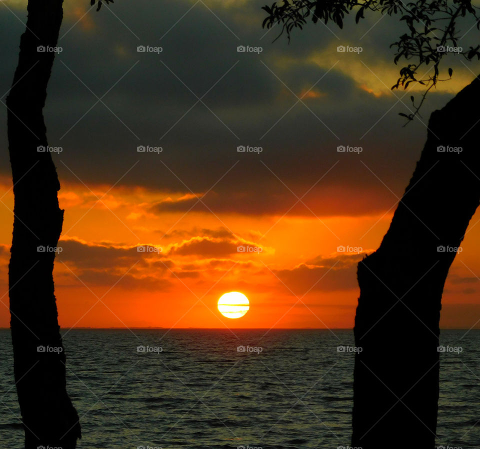 Radiant Beauty!
A magnificent, eye popping,colorful sunset descends over the Choctawhatchee Bay!