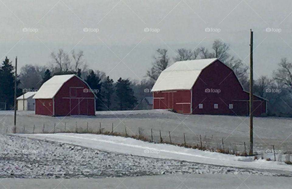 Beautiful winter scene