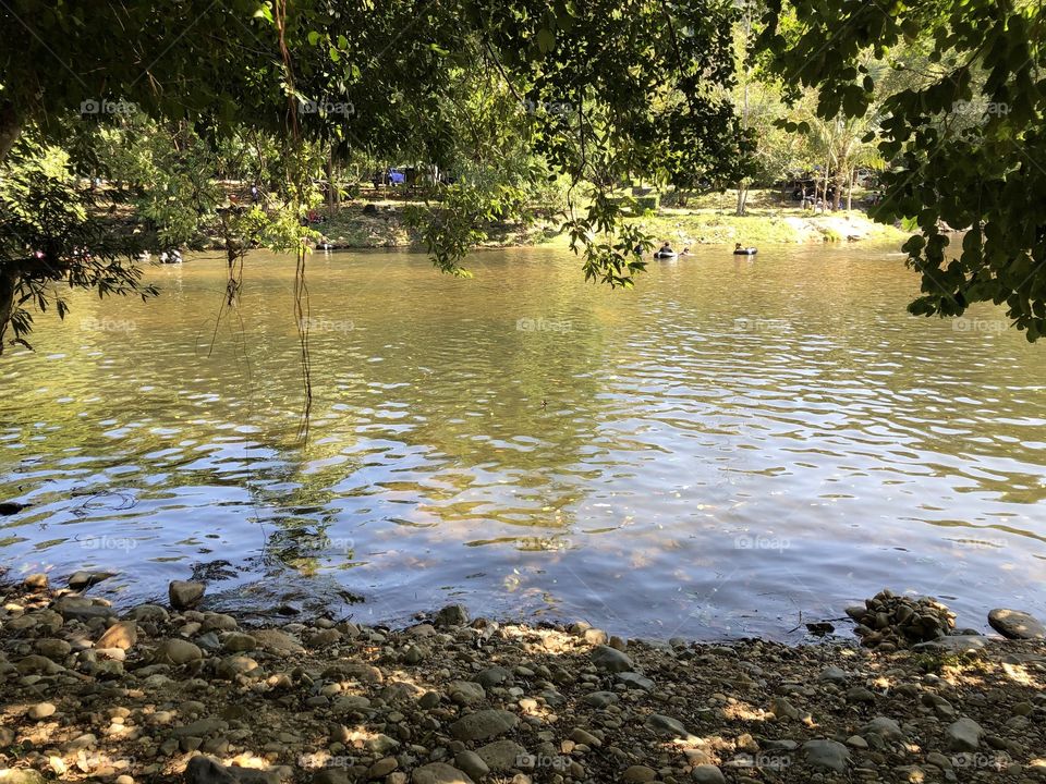 The stories of the nature,countryside ( Thailand 🇹🇭