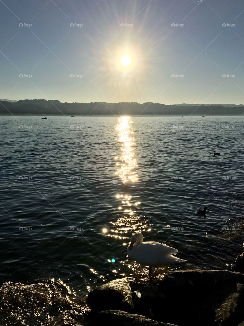 Lake sunset 