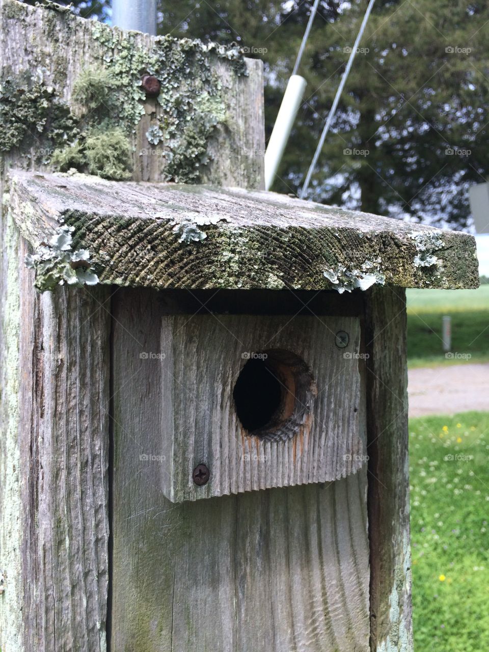 Mossy birdhouse