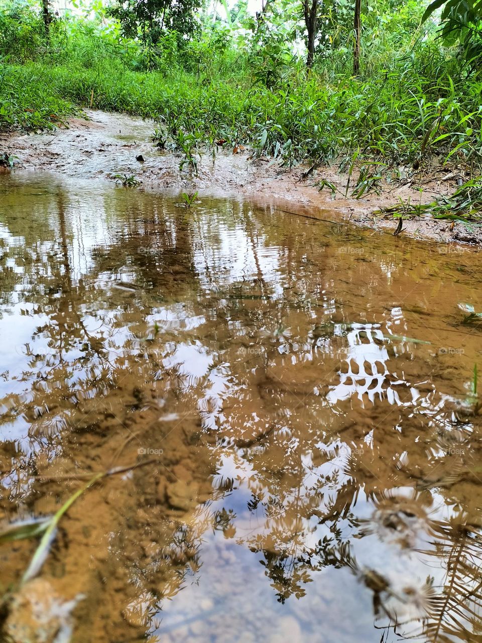 a pool of water that is still and casts a shadow