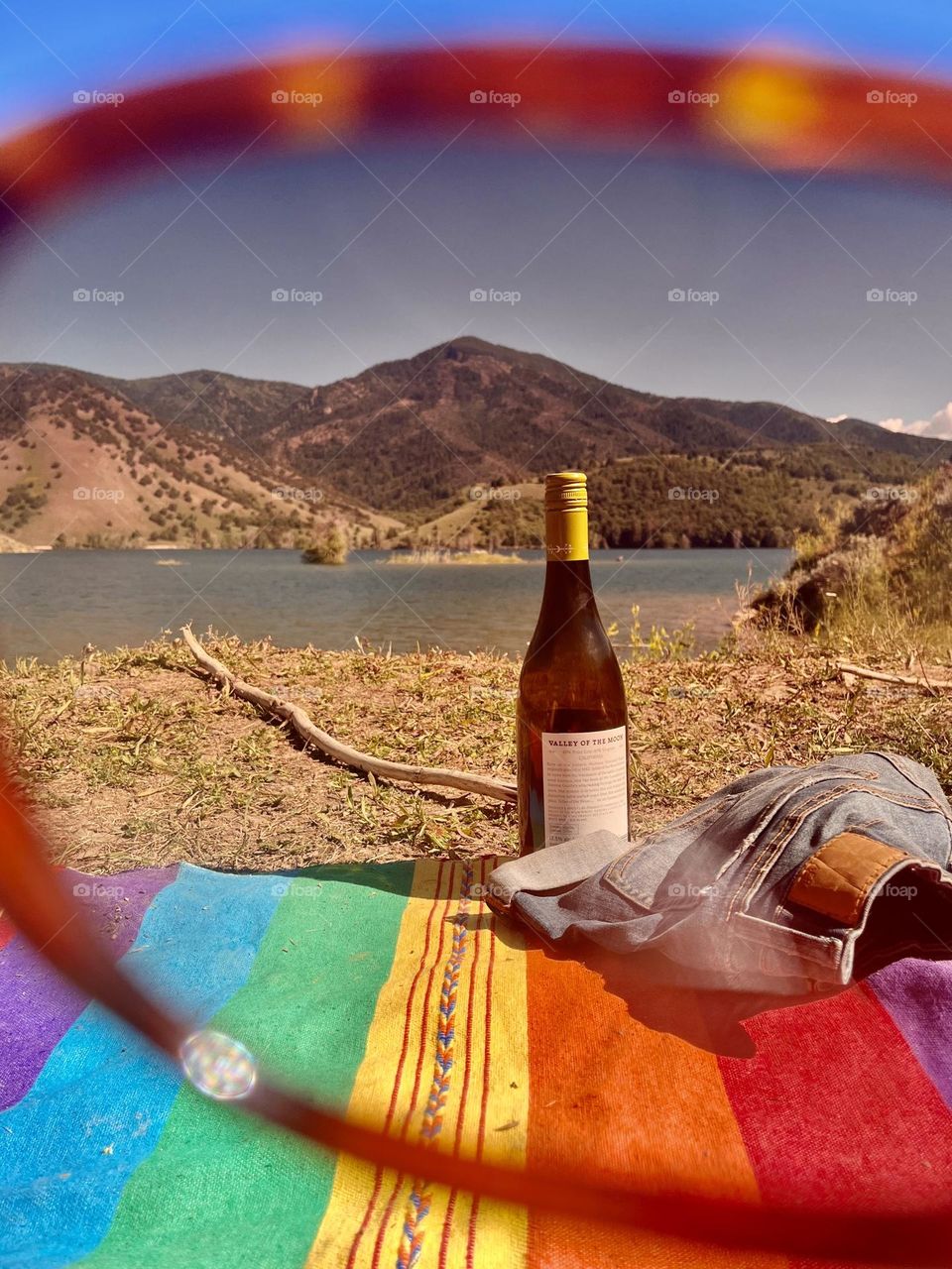 A picnic lake day is the ideal summer activity, complete with wine and dog companion