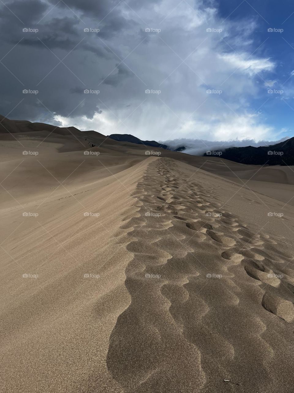 Top of a sand dune in the Great sand dunes national park, USA! 