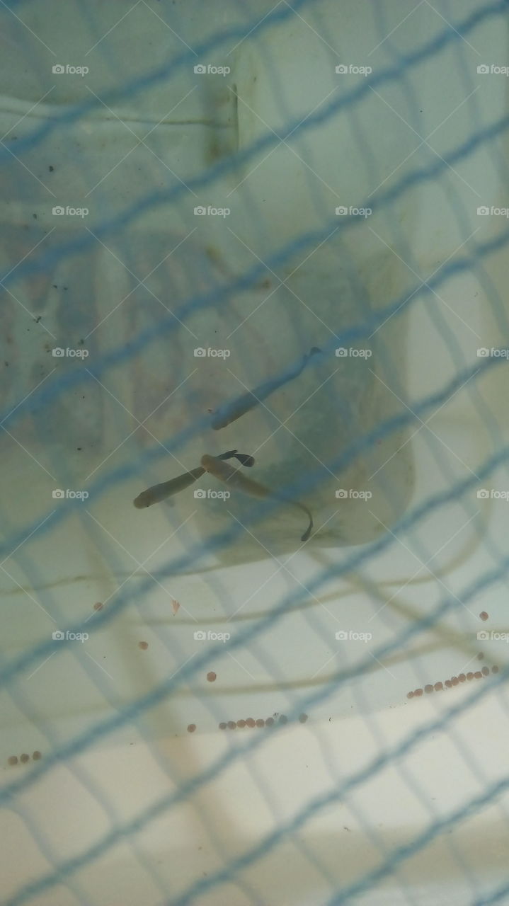 Blur, Daylight, No Person, Wear, Action