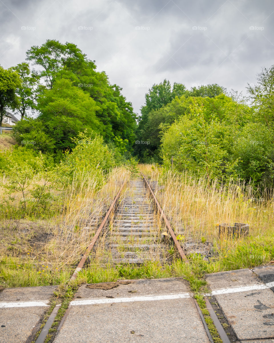 Guidance, Road, Nature, Wood, No Person