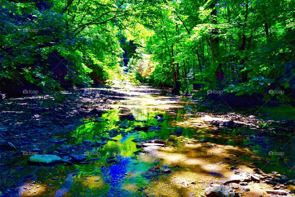 Beautiful park view. 