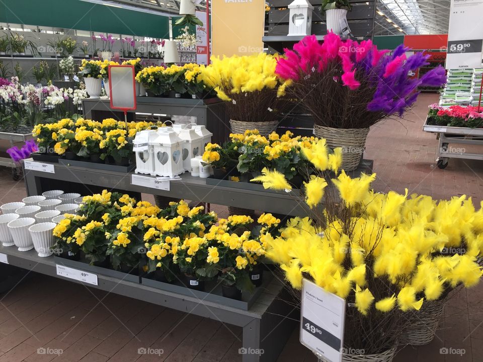 Ester theme in flower store in Sweden.