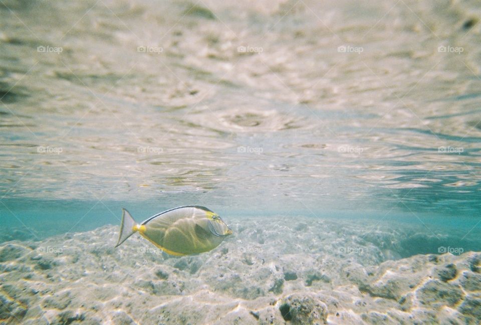 Oahu, Hawaii - Hanauma Bay