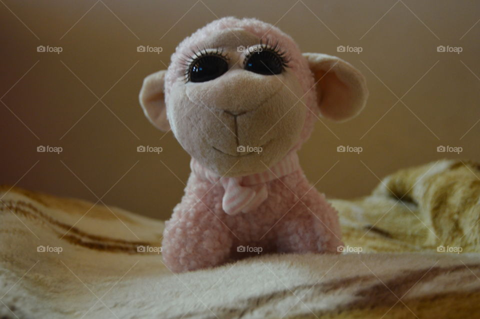 My daughter's favorite doll