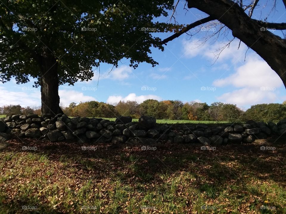 Connecticut field