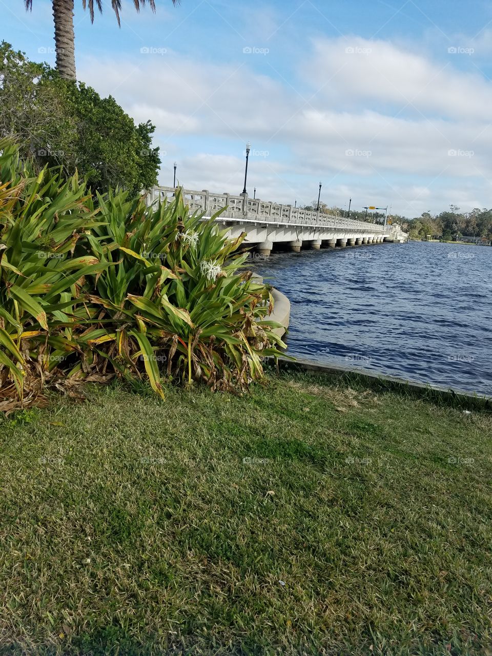 Old Ortega River Bridge