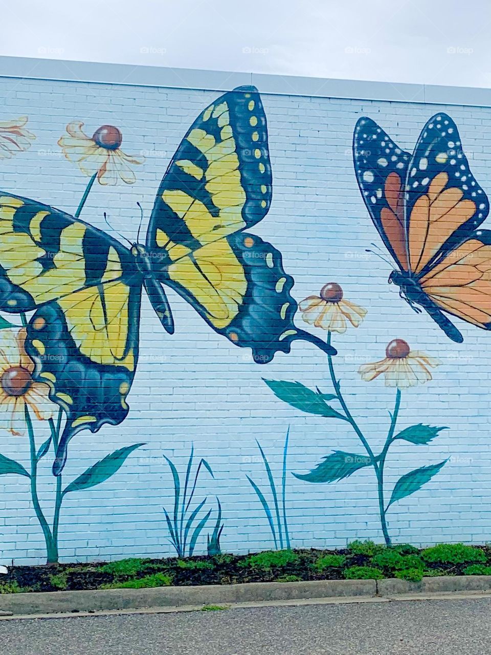 Butterfly mural