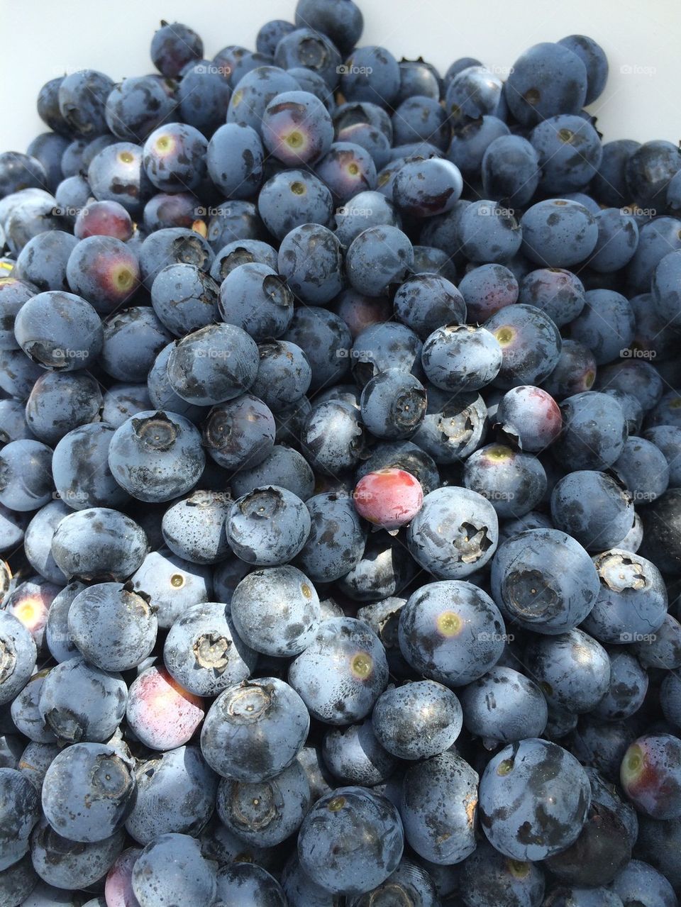 Berries