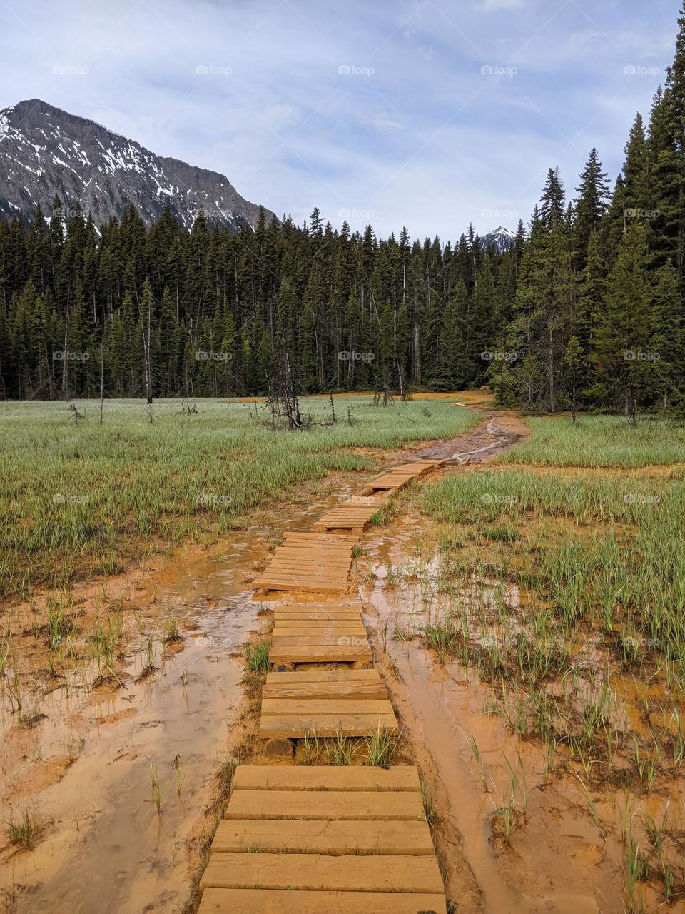 creative boardwalk at marble canyon in Washington state to provide a comfortable way to cross the valley