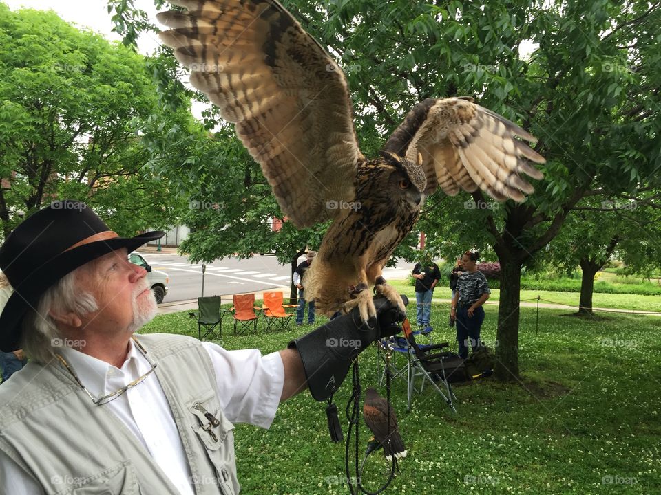 Owl perching on senior man's hand
