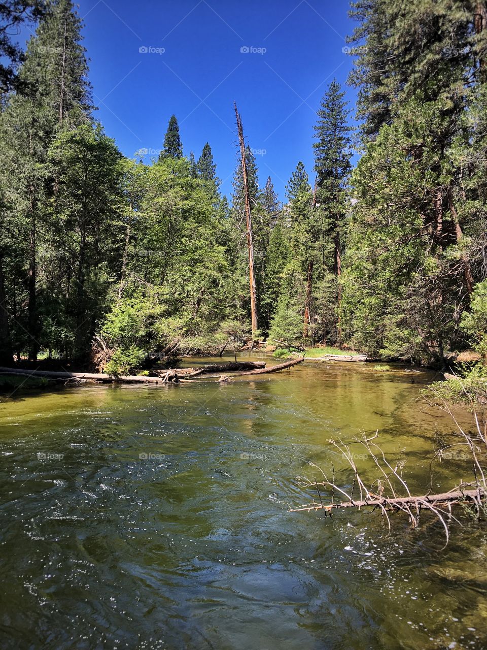 Tenaya Creek at Yosemite National Park 
