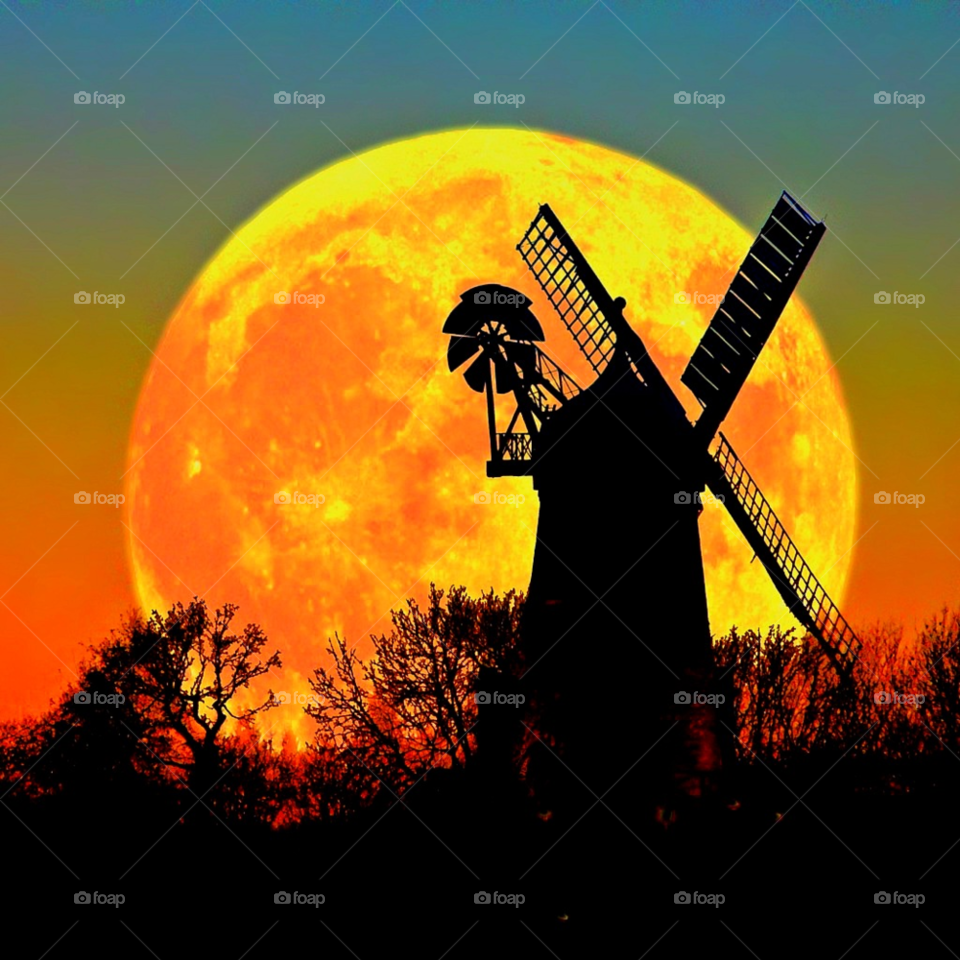 landscape sky trees silhouette by tonythomas