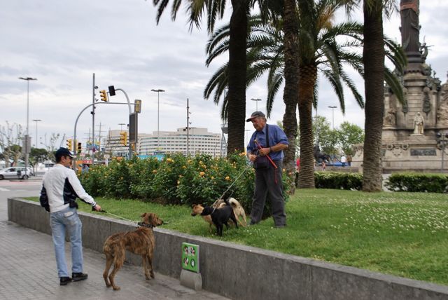 Men walking dogs, dogs walking men 