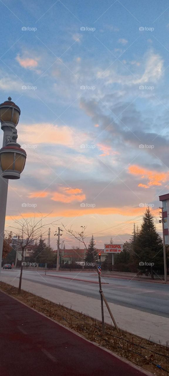 the wonder of nature