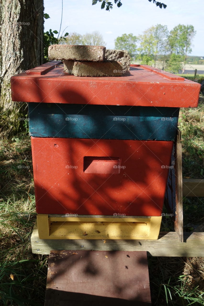 These lovely beehives can be found in a small place called Vargön ( Wolfisland). The need were very active but I managed to get some photos without getting stung.