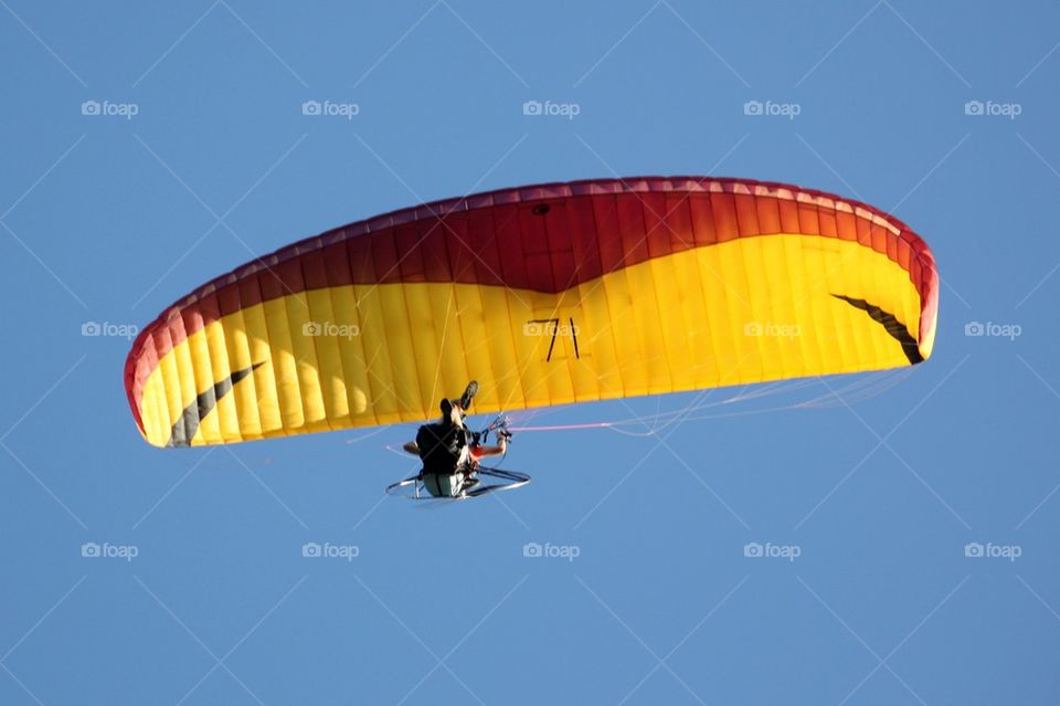 Paraglider